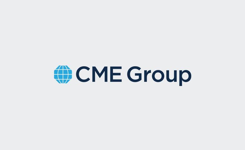 CME Group Inc. (NASDAQ:CME) Insider Trading and Stock Performance Insights