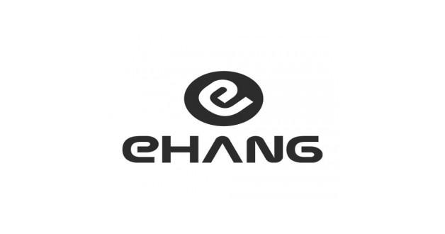 EHang Holdings Limited's Financial Overview and Market Position