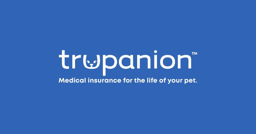 Trupanion, Inc. (NASDAQ:TRUP) Overview: A Potential Investment Opportunity Amid Short-Term Fluctuations