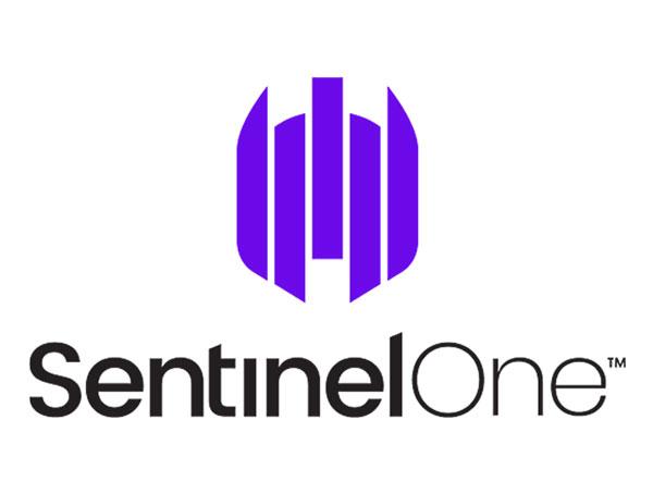 SentinelOne's Stock Rating and Financial Overview